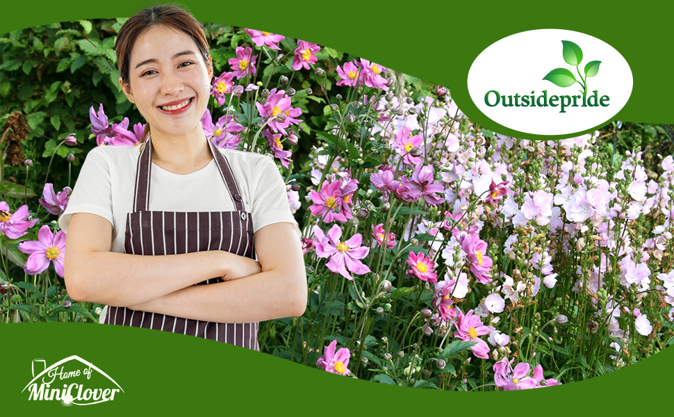 Anemone Flower Garden