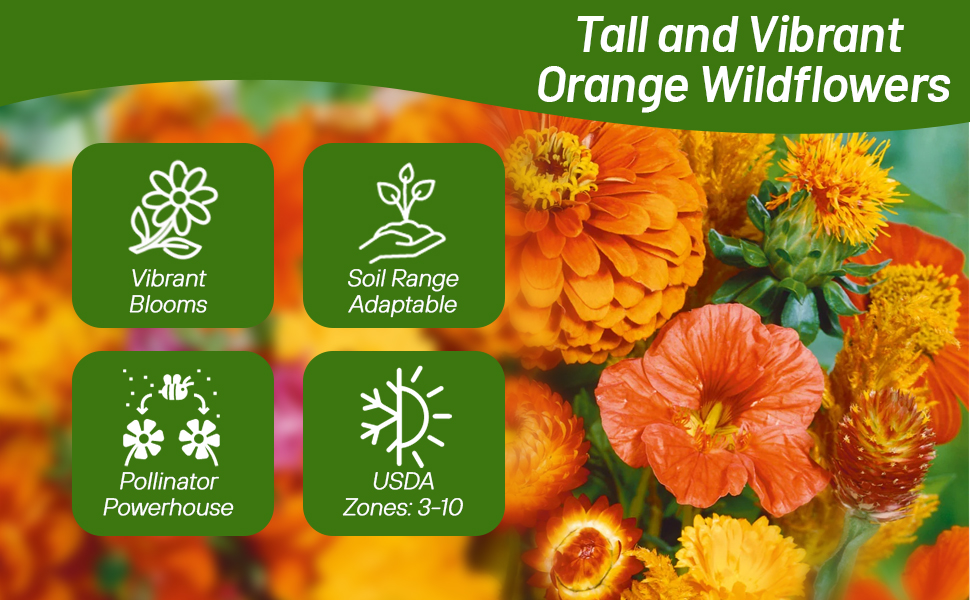 Orange Flowering Pollinating Flowers Grown From seeds