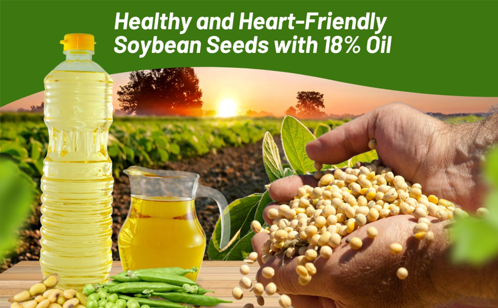 Soybean Oil From Soybean Seeds