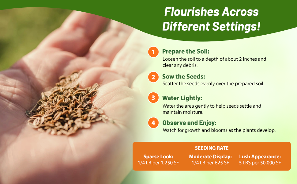 Planting Directions For Pollinator Wildflower Seed Mixture