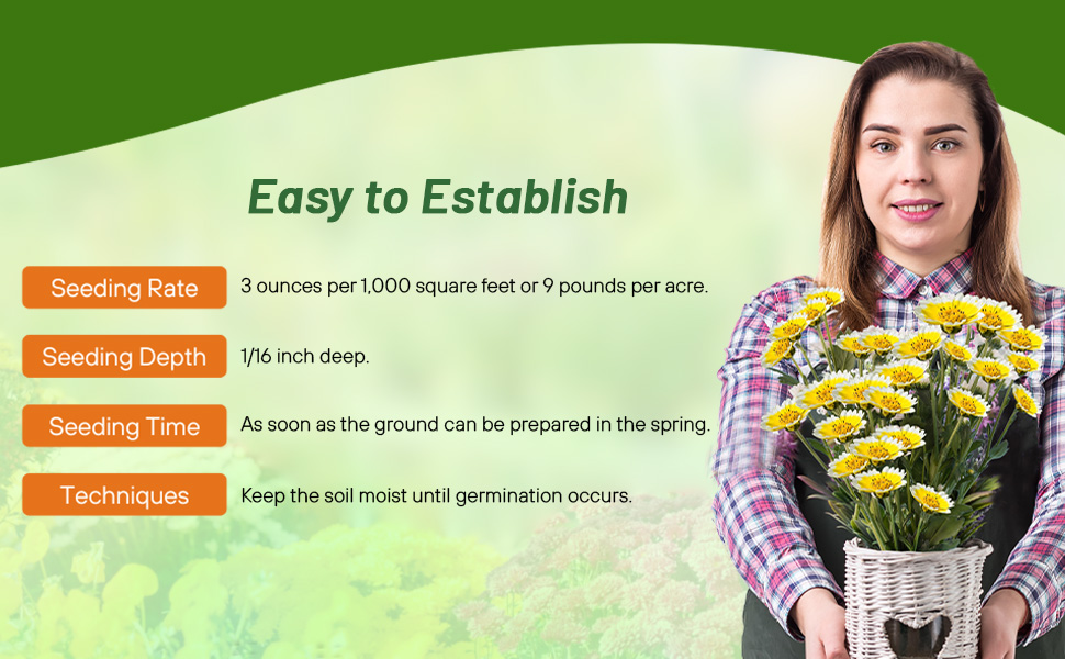 Planting Directions for Tidy Tips Flower Seeds