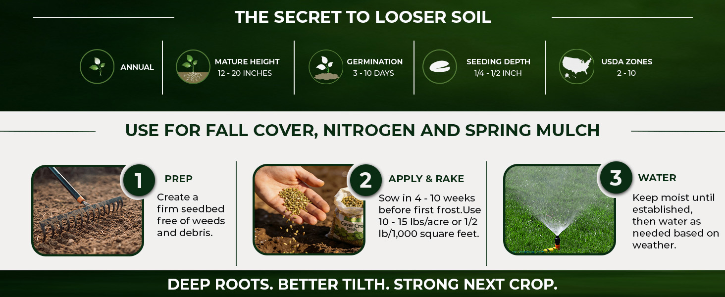 Daikon Radish Planting Directions