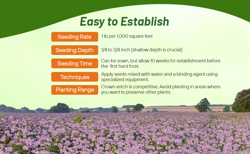 Planting Directions for Crown Vetch Seeds