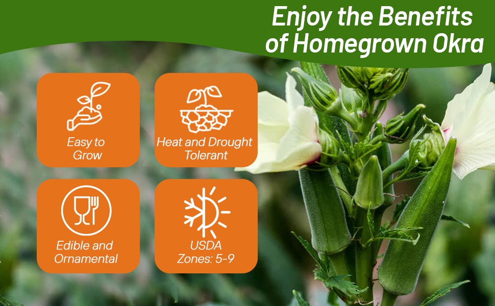 Homegrown Heat & Drought Tolerant Okra