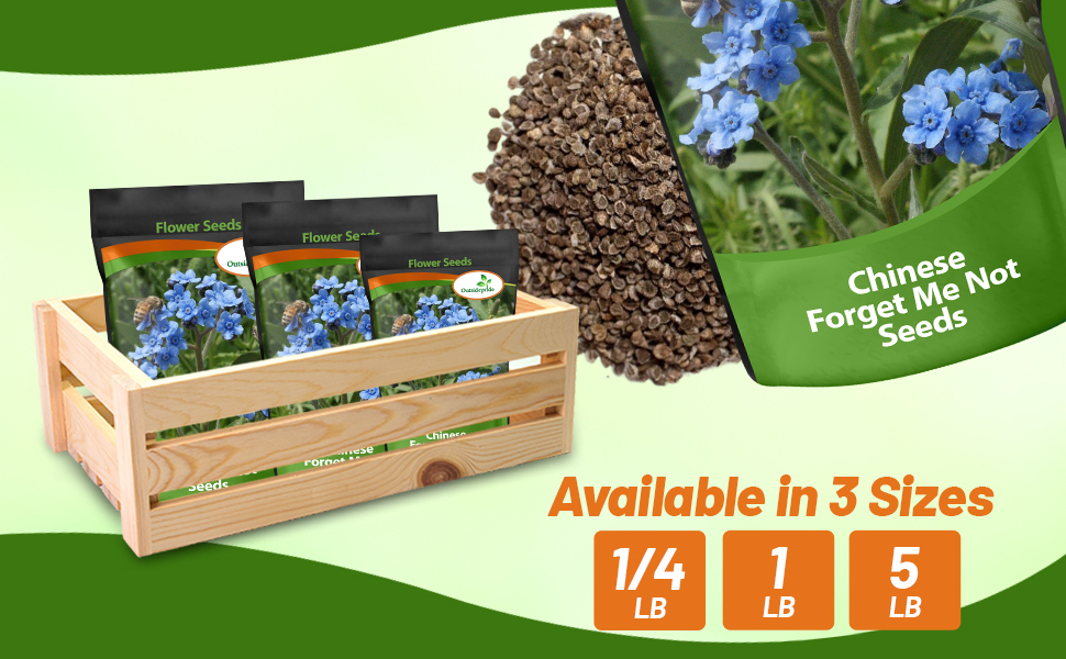 Blue Chinese Forget Me Not Seed Bag For Planting