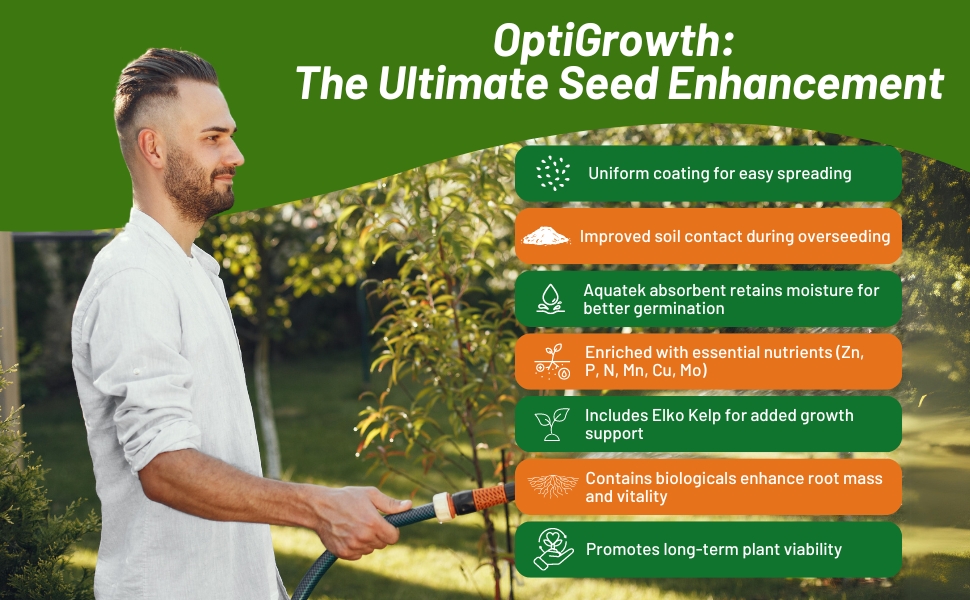 OptiGrowth Coating Turf Type Fesuce Grass Seed For Fast Establishment