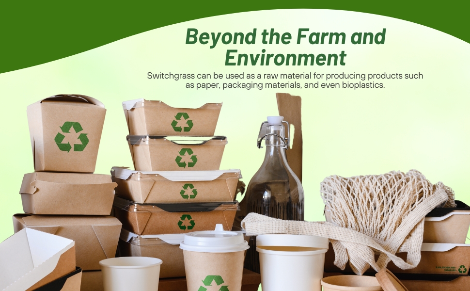 Biodiverse Switchgrass For Farming, Packaging, Green