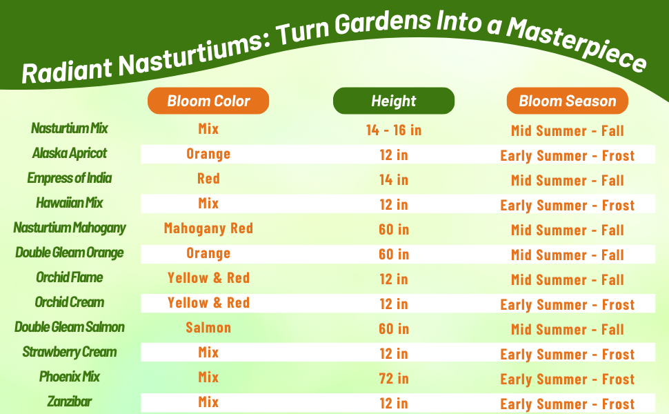 Nasturtium Bloom Color, Height, and Flowering Season