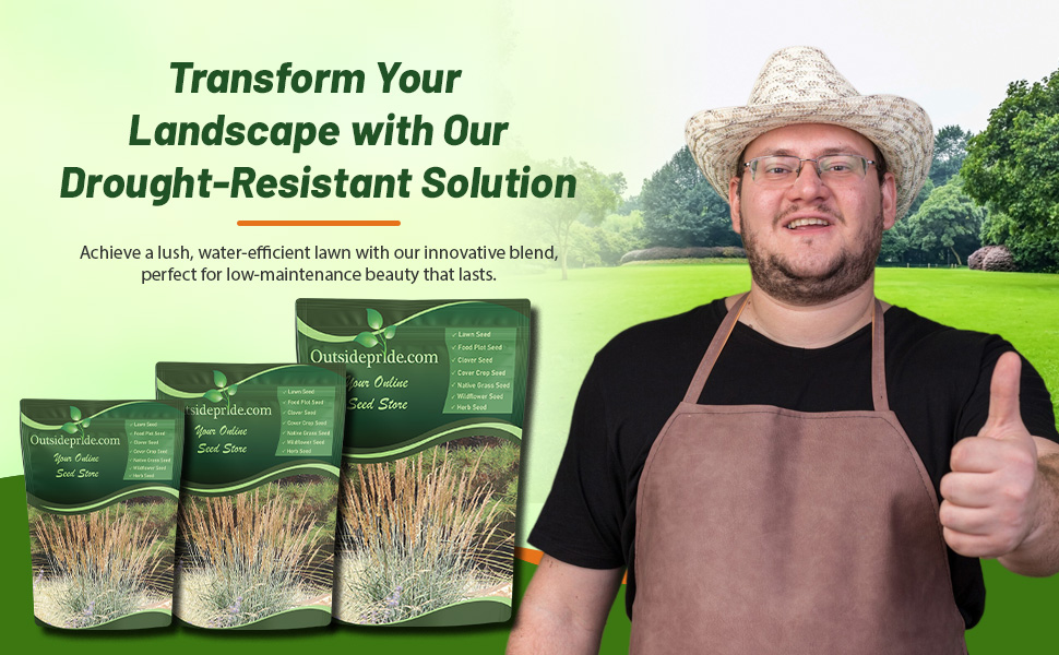 Xeriscape Grass Bulk Grass Seed For Great Plains Region
