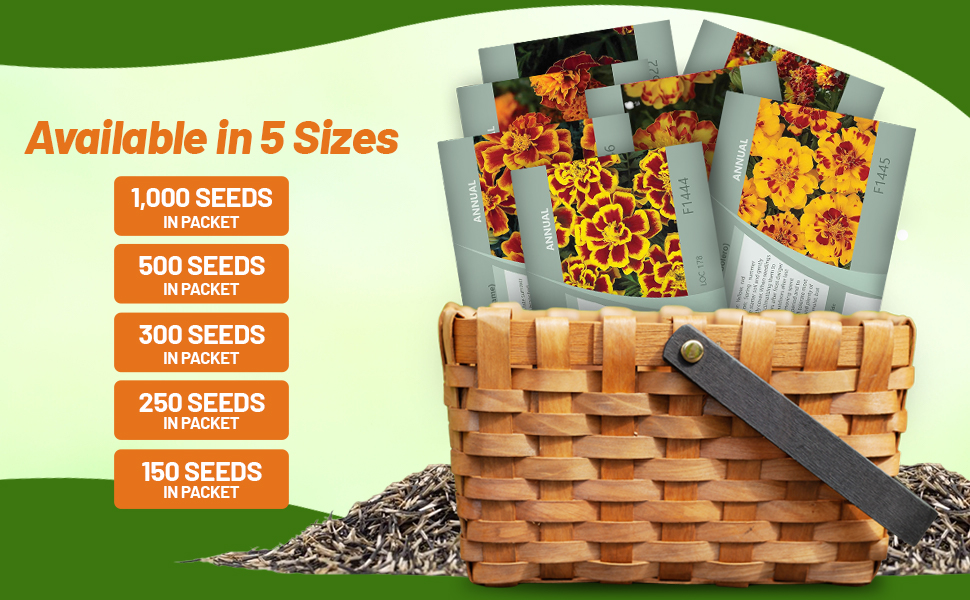 Tagetes Patula Marigold Seed Packets For Sale