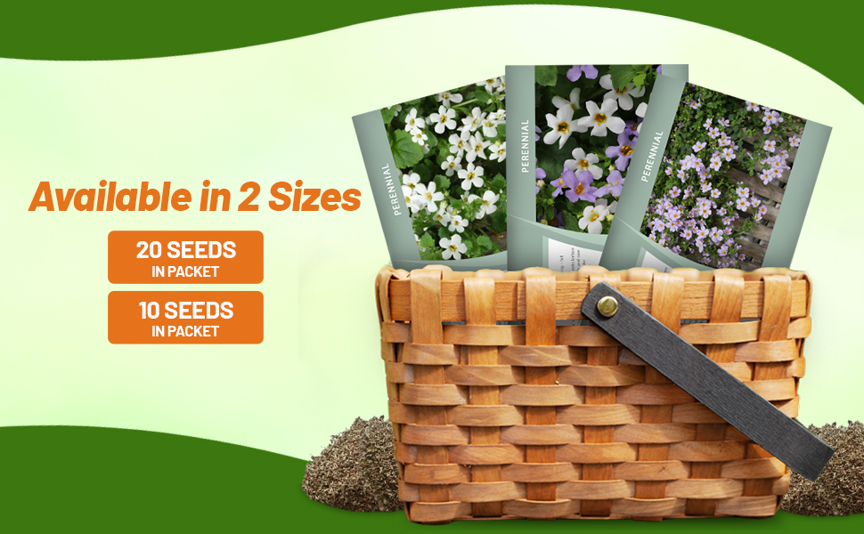 Bacopa Seed Packets For Sale