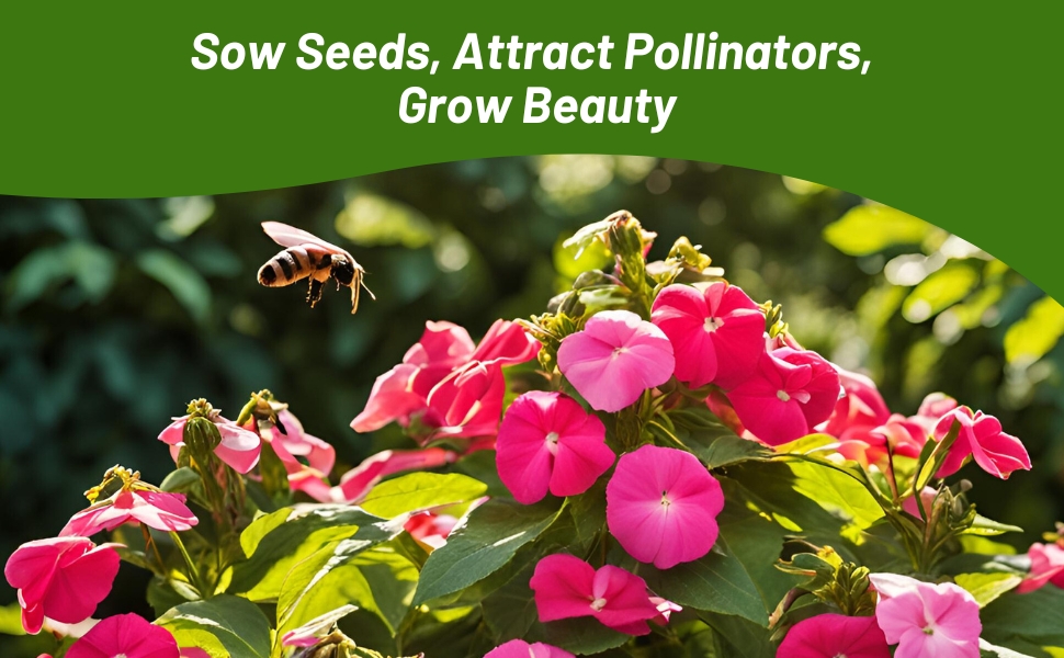 Pollinating Bees on Impatiens Xtreme Flowers
