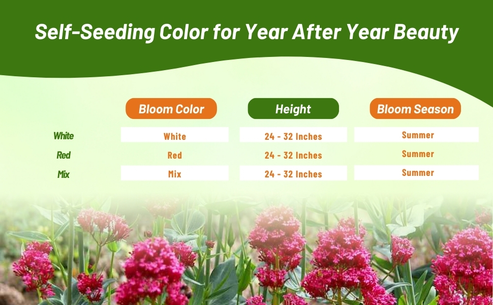 Centrathus Bloom Color, Height, & Season Chart For Jupiter