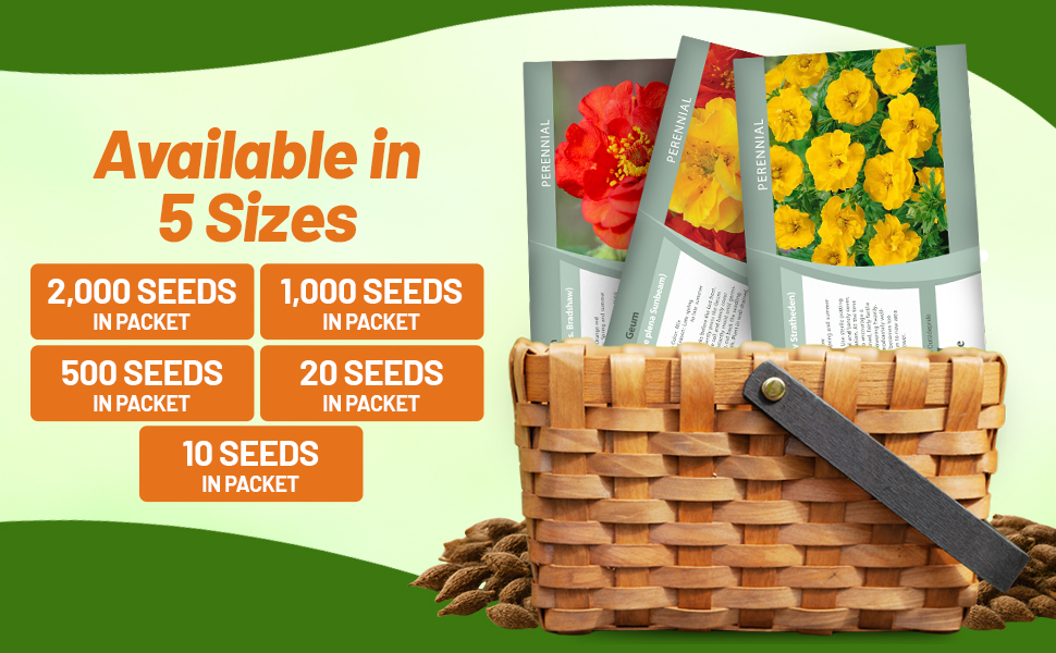 Geum Seed Packets For Sale