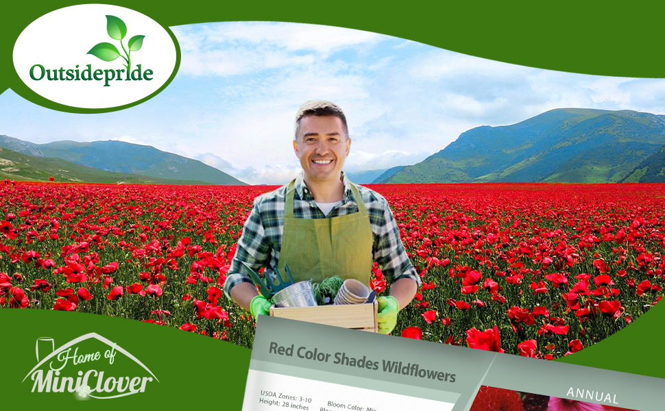 Red Flower Field Planted From Seeds