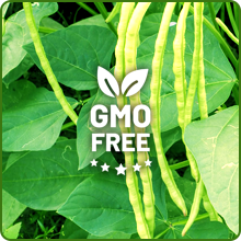 GMO Free Cowpeas Seeds