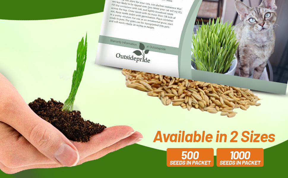 Cat Grass Seed Packets For Sale