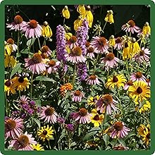 Adaptable MIdwest Wildflowers Seed Mix