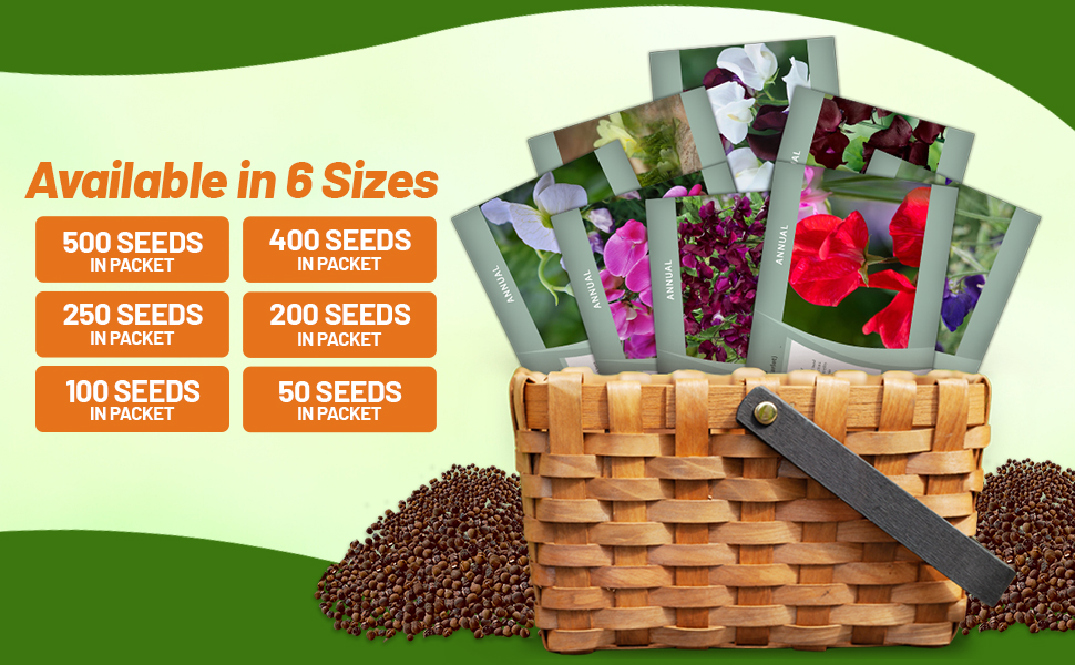 Royal Lathyrus Sweet Peas Flower Seed Packets For Planting