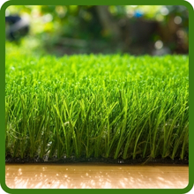 T-1 Golf Course Fairway & Putting Green Seed