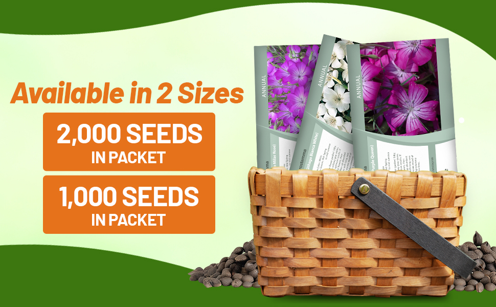Agrostemma Seed Packets For Planting