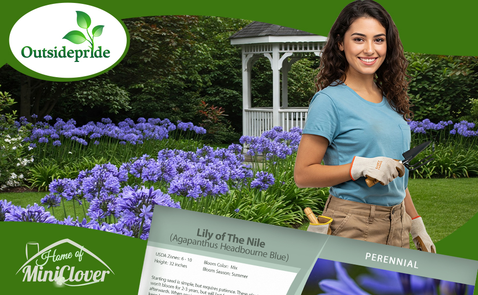 LIly of the NIle Plants Gazebo