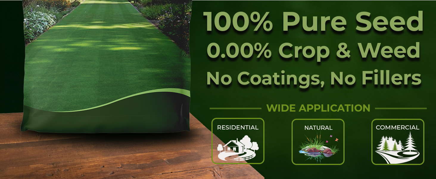 Legacy Fine Fescue Seeds