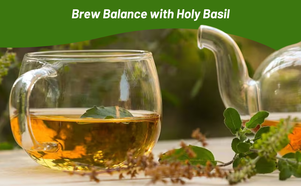 Basil Teas From Holy Basil Plants