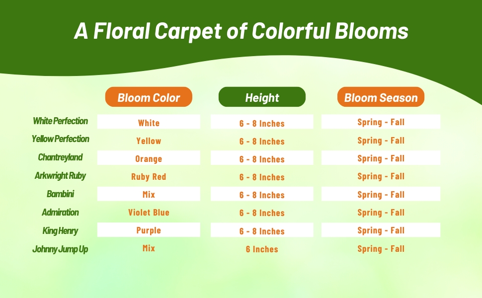 Bloom Season, Height, & Color Chart of Viola Flowers