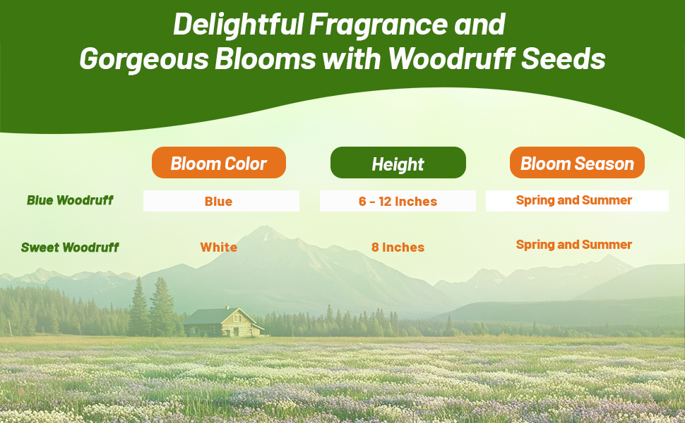 Woodruff Bloom Season, Color, & Height Chart