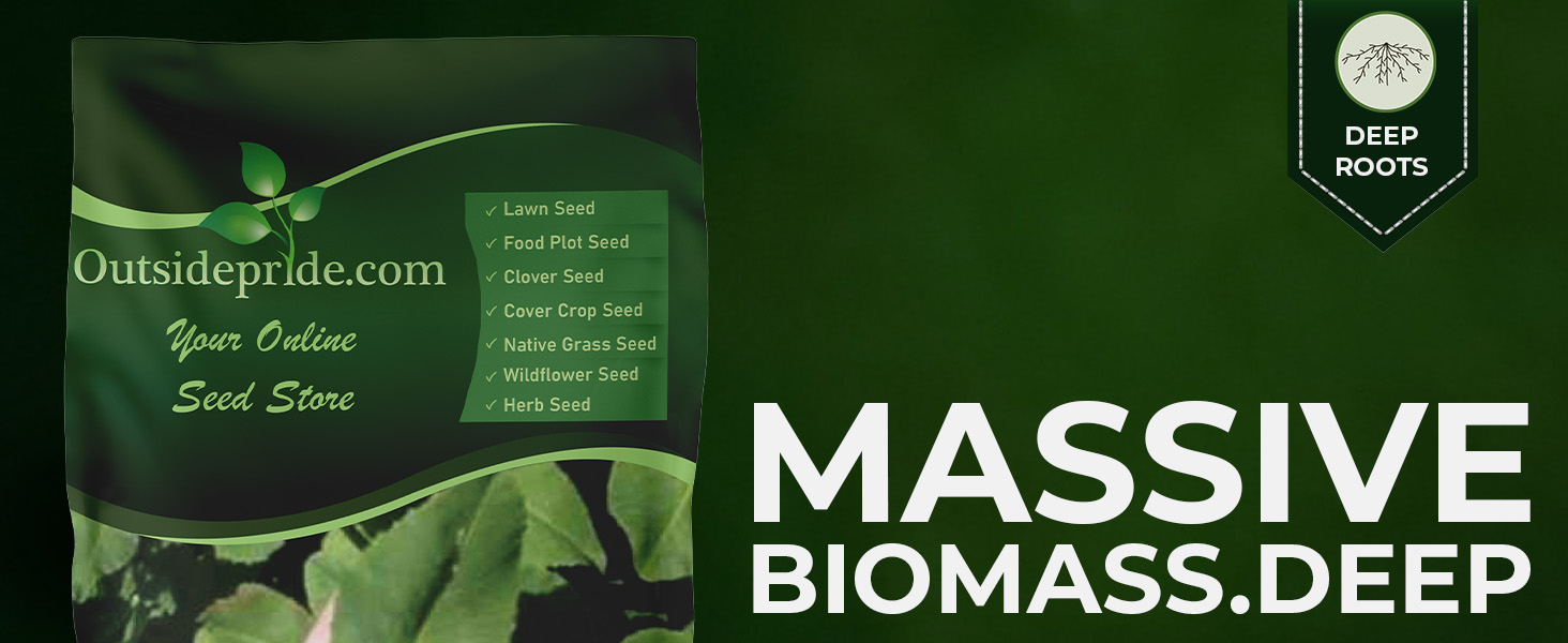 Fixation Balansa Clover