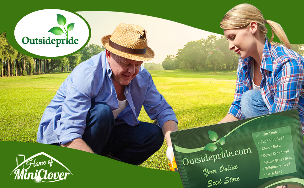 SPF-30 Hybrid Bluegrass Lawn Seed For Water Conservation