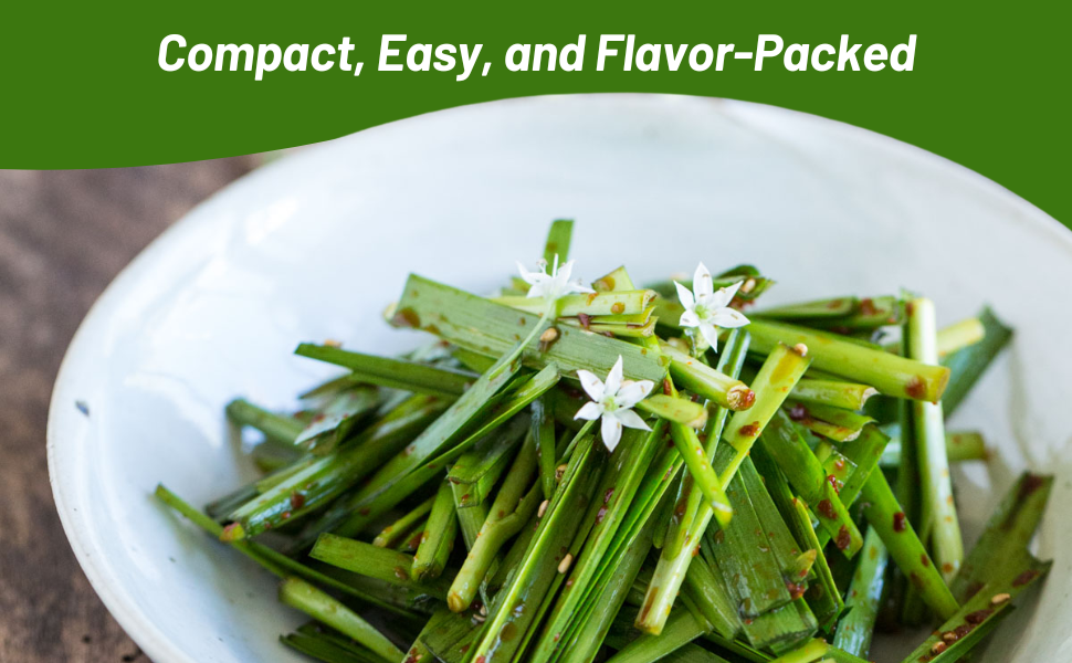 Cut up Chives in Bowl