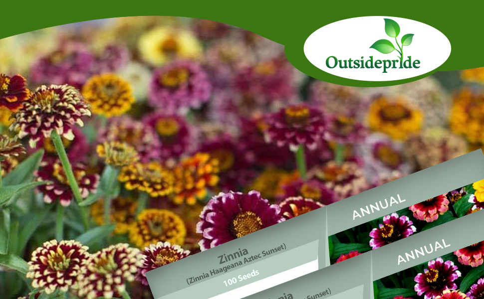 Outsidepride 50 Seeds Annual Zinnia Haageana Aztec Sunset Flower Seed Mix for Planting