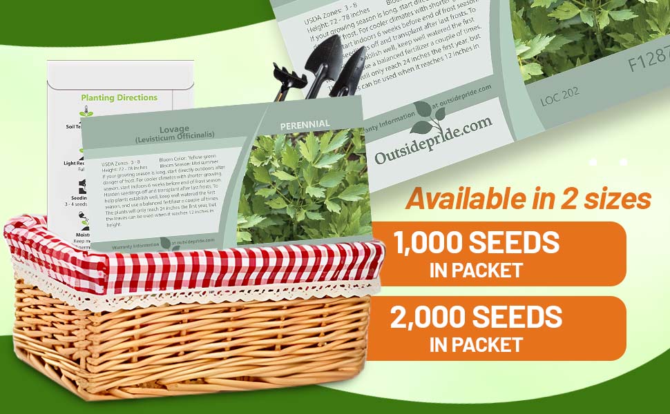 Lovage Herb Seed Packet For Planting