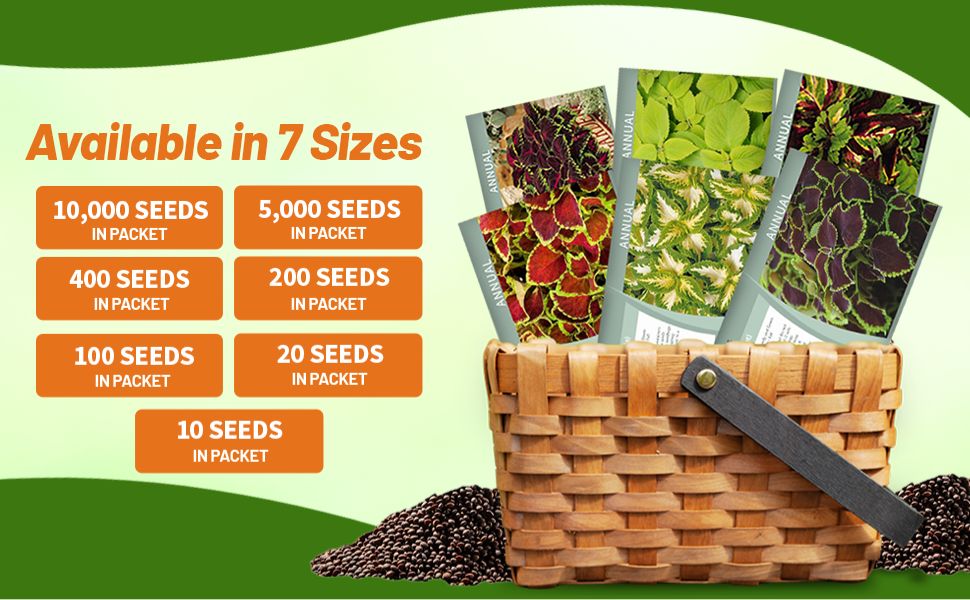 Coleus Seed Packets for Sale