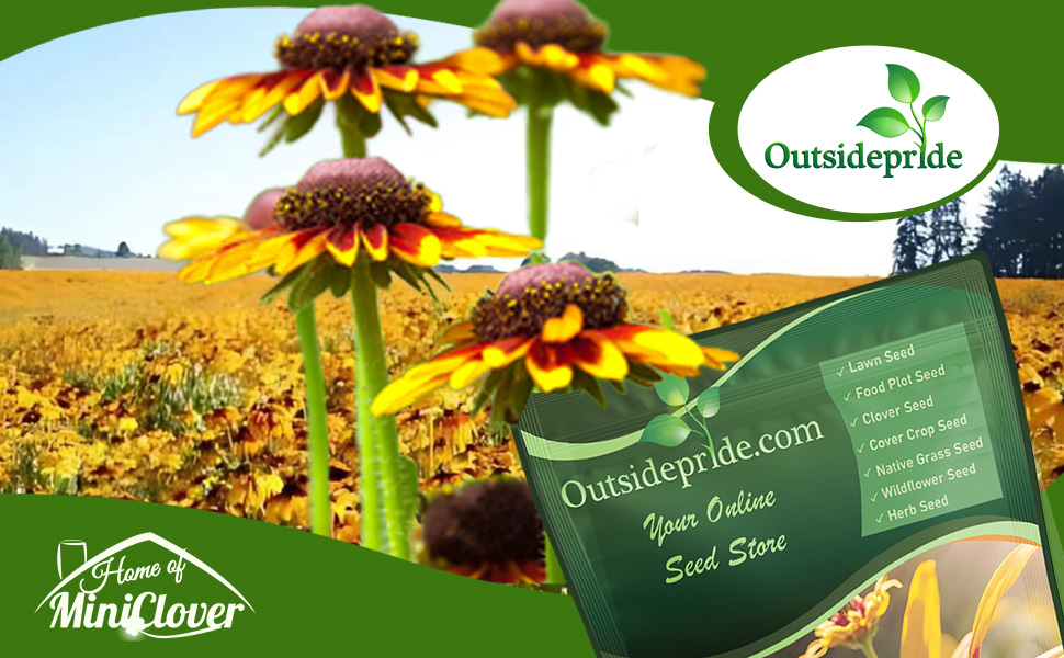 Gloriosa Daisy Wildflower Field With Seed Bag