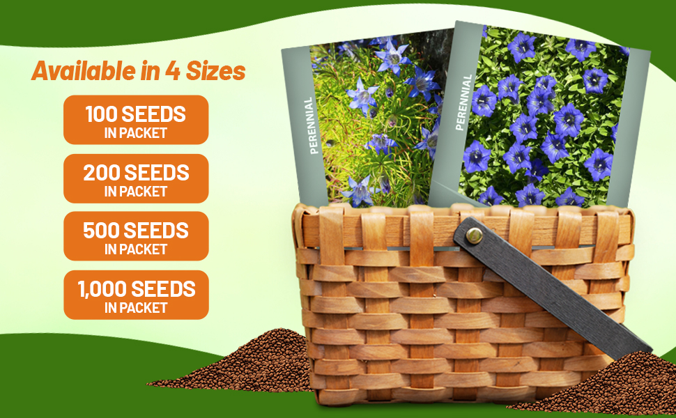 Blue Gentian Flower Seed Packets For Sale