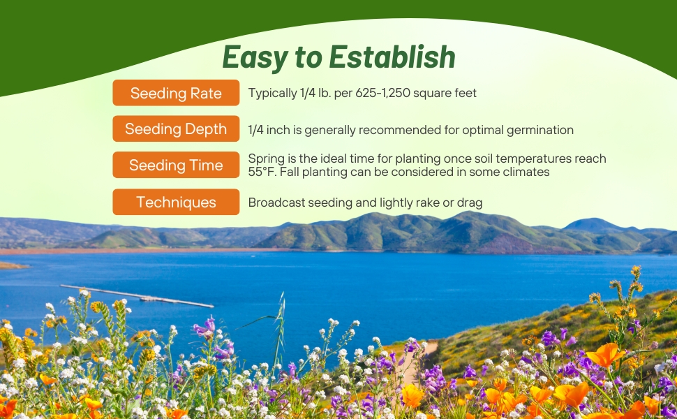 Planting Directions For Dryland Wildflower Seeds
