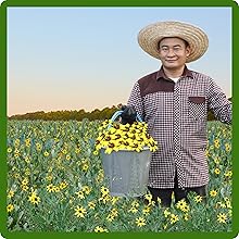 Low Maintenance Chocolate Flower