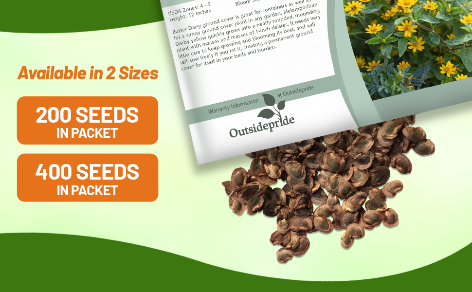 Melampodium Derby Seed Packet
