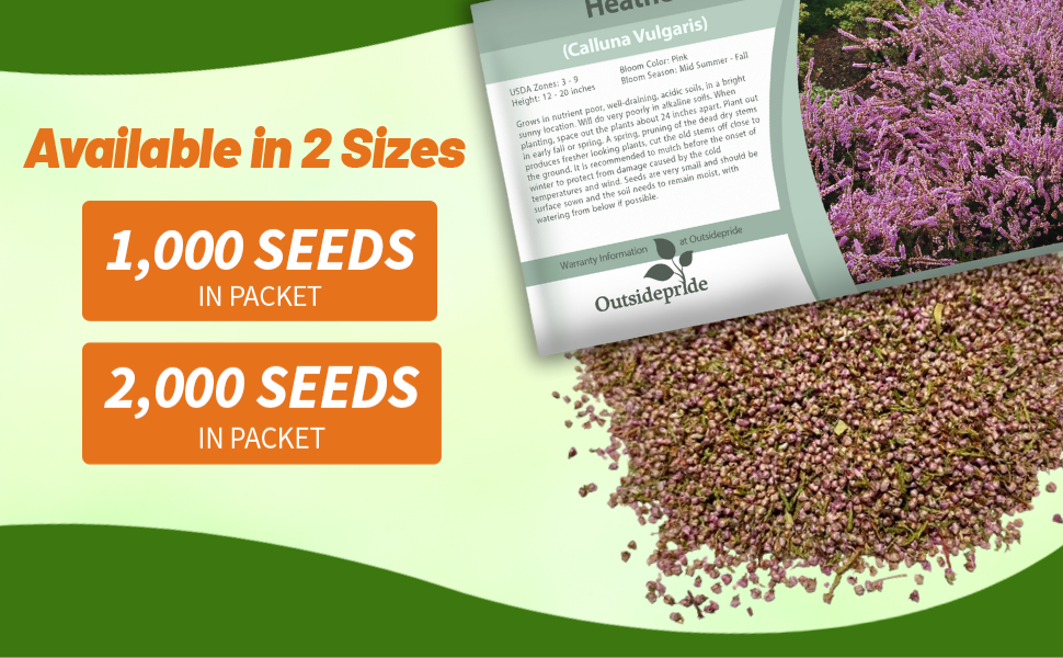 Heather Plant Seed Packet For Sale