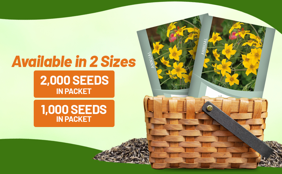 Bur Marigold Seed Packets For Sale