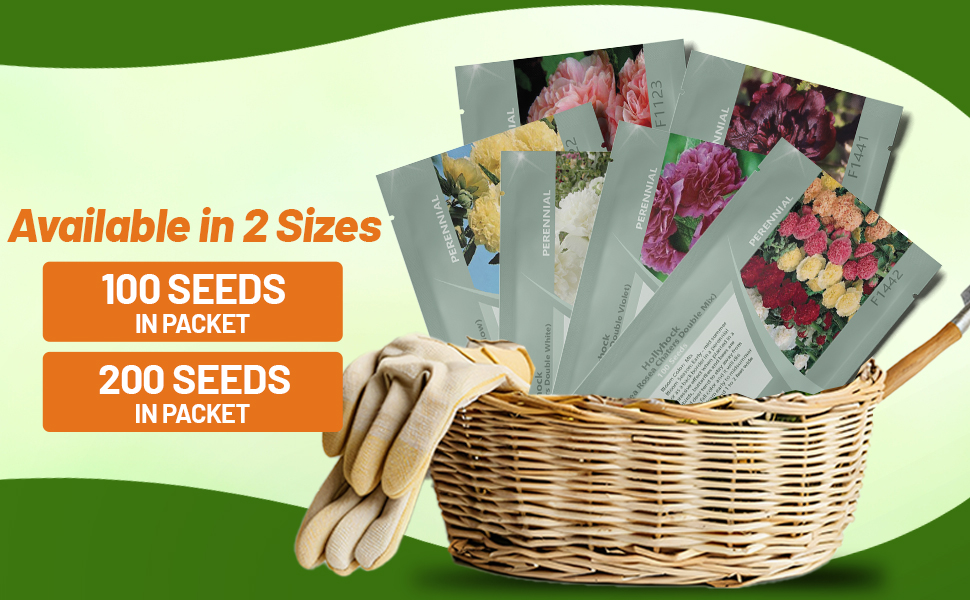 Double Flowering Hollyhock Seed Packets For Sale
