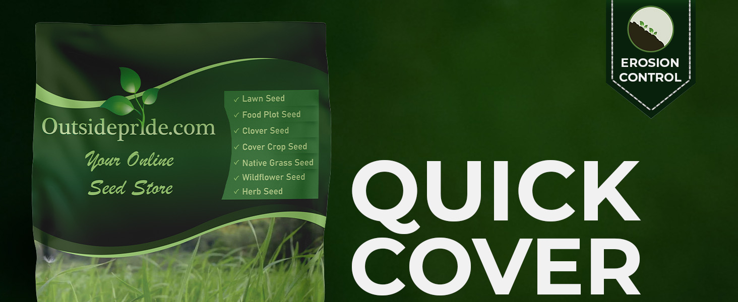 Annual Ryegrass