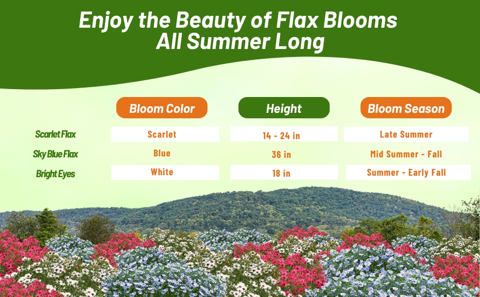 Bloom Color, Season, &amp; Height Chart of Flax Seeds