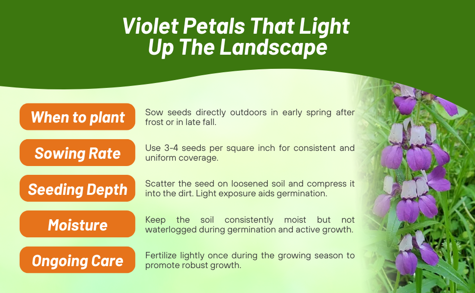 Planting Directions For Chinese Houses Flower Seeds