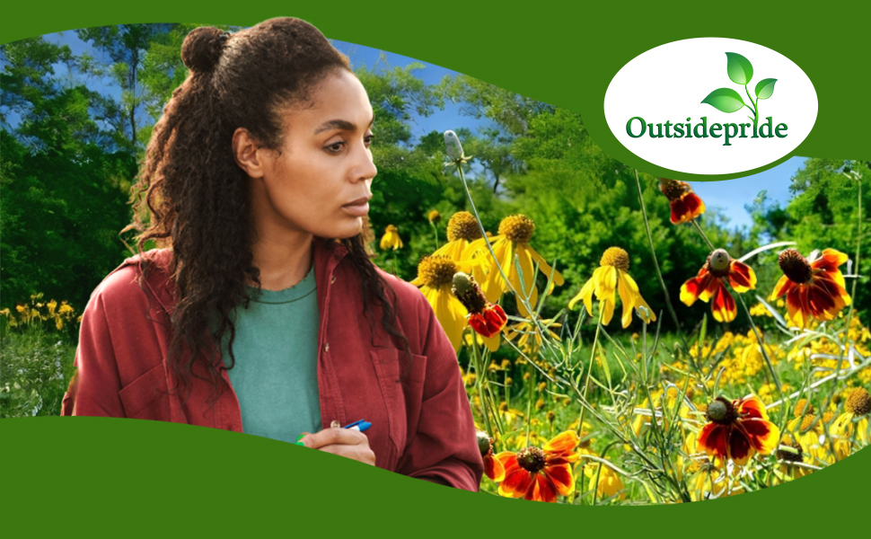 Ratibida Flower Garden Planted From Wildflower Seeds