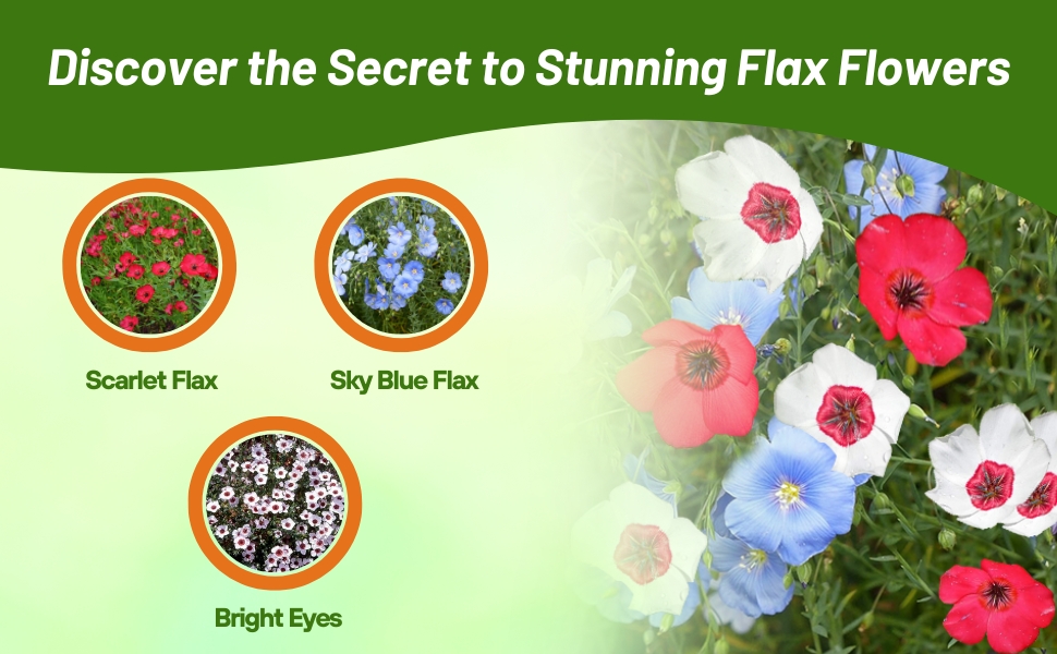 Scarlet, Sky Blkue, & Bright Eyes Flower Seed Flax