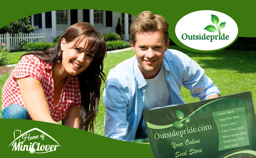 Centipede Lawn Grass Seed
